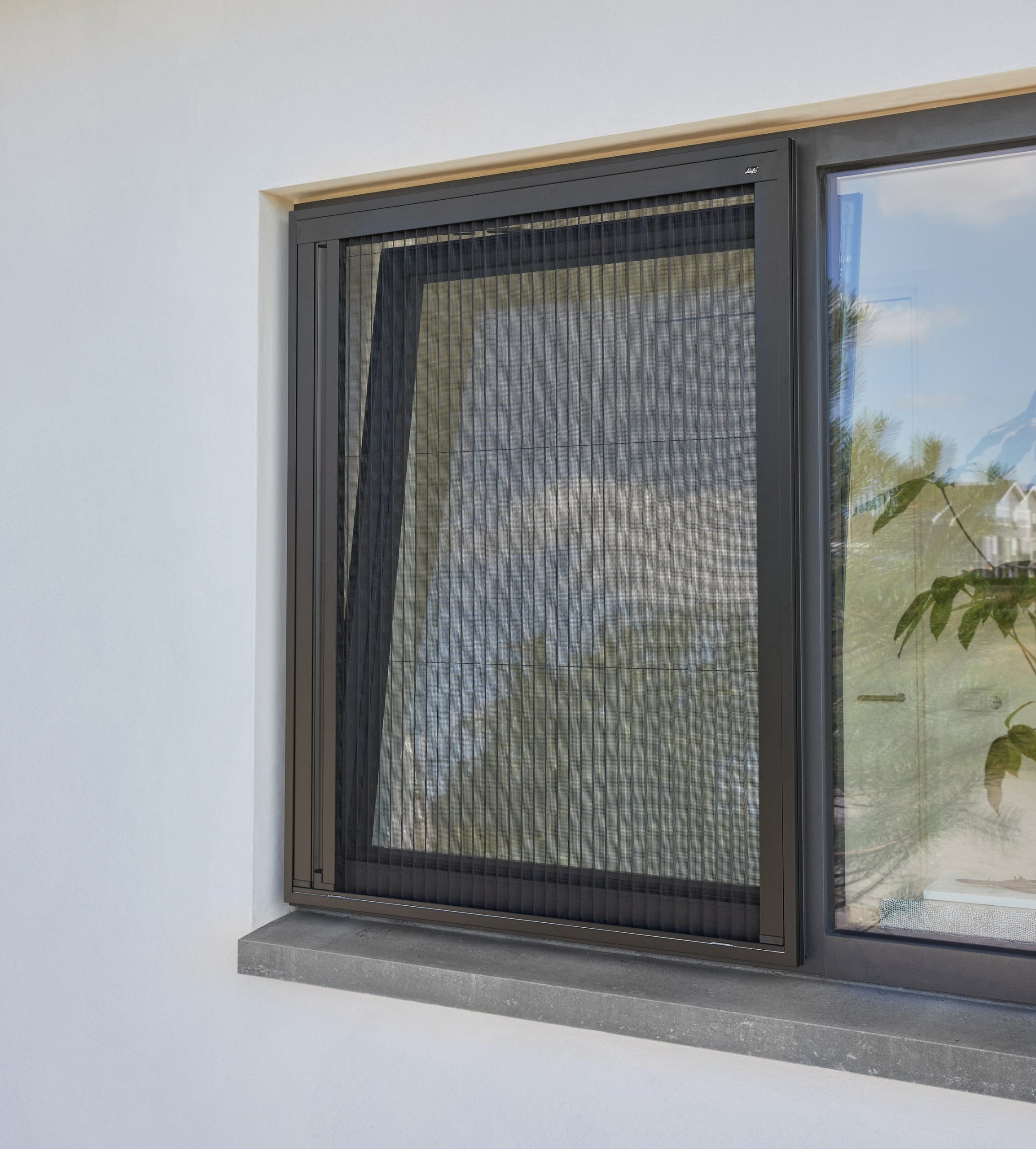 Plisse gitter Fenster koeln 1 scaled